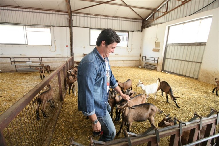 Dairy Khoury Farm Gates Opening